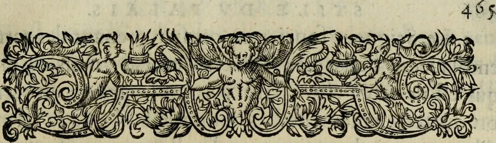 An illustration from Essay des merveilles de natvre, et des plvs nobles artifices. Piece tres-necessaire, à tous ceux qui font profession d'eloquence, 1625, leaf 484