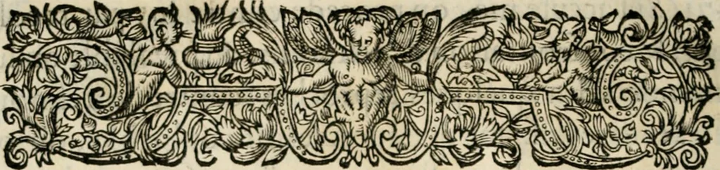 An illustration from Essay des merveilles de natvre, et des plvs nobles artifices. Piece tres-necessaire, à tous ceux qui font profession d'eloquence, 1625, leaf 507