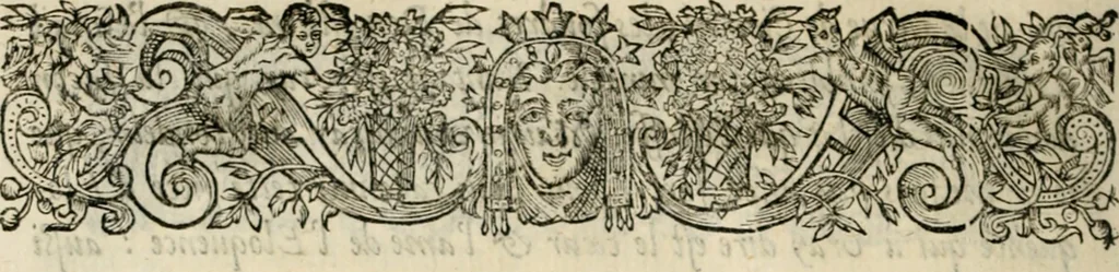 An illustration from Essay des merveilles de natvre, et des plvs nobles artifices. Piece tres-necessaire, à tous ceux qui font profession d'eloquence, 1625, leaf 509