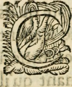 An illustration from Essay des merveilles de natvre, et des plvs nobles artifices. Piece tres-necessaire, à tous ceux qui font profession d'eloquence, 1625, leaf 51