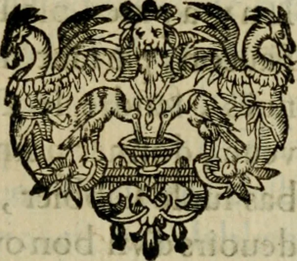 An illustration from Essay des merveilles de natvre, et des plvs nobles artifices. Piece tres-necessaire, à tous ceux qui font profession d'eloquence, 1625, leaf 52