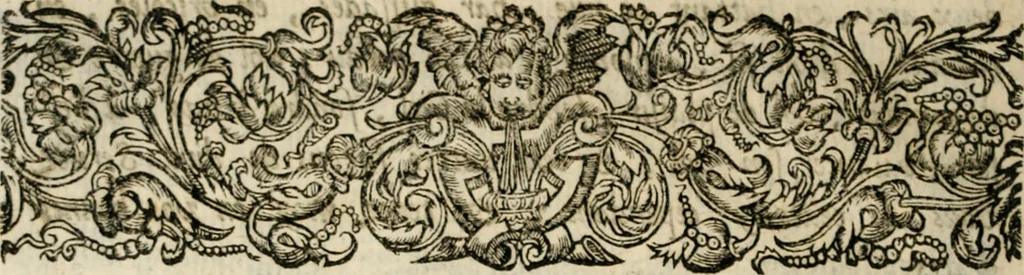 An illustration from Essay des merveilles de natvre, et des plvs nobles artifices. Piece tres-necessaire, à tous ceux qui font profession d'eloquence, 1625, leaf 53