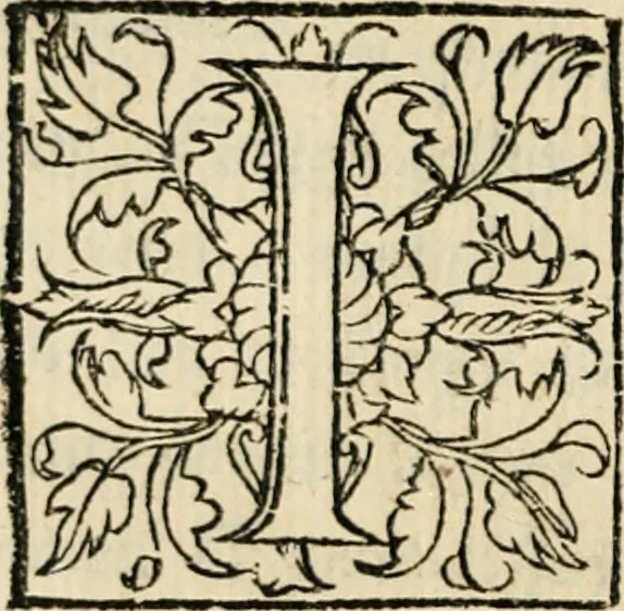An illustration from Essay des merveilles de natvre, et des plvs nobles artifices. Piece tres-necessaire, à tous ceux qui font profession d'eloquence, 1625, leaf 53