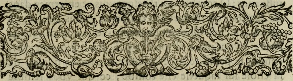 An illustration from Essay des merveilles de natvre, et des plvs nobles artifices. Piece tres-necessaire, à tous ceux qui font profession d'eloquence, 1625, leaf 612