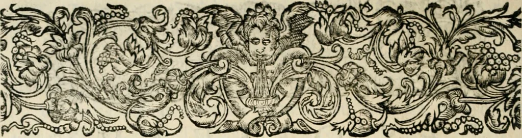 An illustration from Essay des merveilles de natvre, et des plvs nobles artifices. Piece tres-necessaire, à tous ceux qui font profession d'eloquence, 1625, leaf 73
