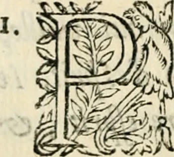 An illustration from Essay des merveilles de natvre, et des plvs nobles artifices. Piece tres-necessaire, à tous ceux qui font profession d'eloquence, 1625, leaf 73