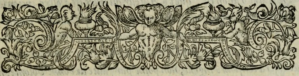 An illustration from Essay des merveilles de natvre, et des plvs nobles artifices. Piece tres-necessaire, à tous ceux qui font profession d'eloquence, 1625, leaf 8