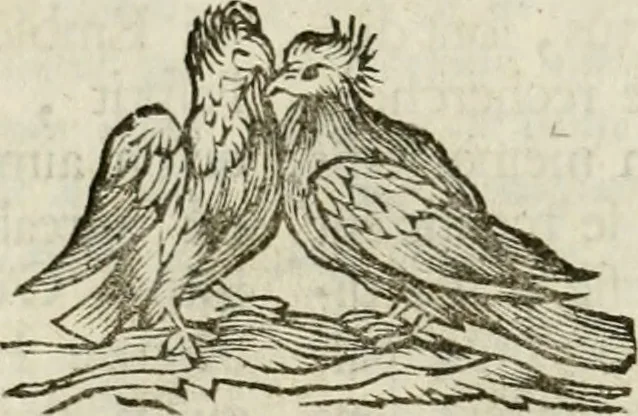 An illustration from Essay d'un dictionnaire contenant la connoissance du monde, des sciences universelles, et particulierement celle des medailles, des passions, des moeurs, des vertus et des vices, &c. : representé par des figures hyerogliphiques, expliquèes en prose & en vers, 1700, leaf 13