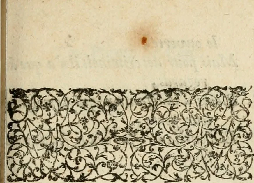 An illustration from Essay d'un dictionnaire contenant la connoissance du monde, des sciences universelles, et particulierement celle des medailles, des passions, des moeurs, des vertus et des vices, &c. : representé par des figures hyerogliphiques, expliquèes en prose & en vers, 1700, leaf 168