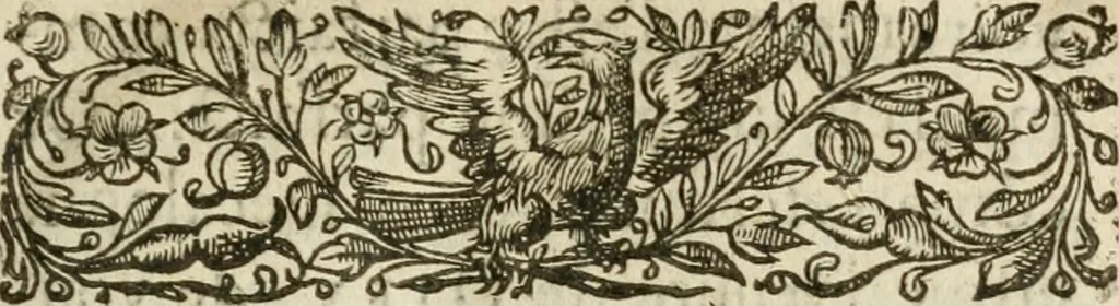 An illustration from Essay instrvctif de l'art d'escritvre : où par vne nouuelle methode, le mystere de l'escriuain est clairement découuert & expliqué par le nombre ternaire, & autres enseignemens : auec vne ample digression sur les verifications & comparaisons des escritures & signatures : outre les maximes importantes de l'art., 1639, leaf 22