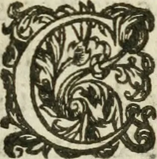 An illustration from Essay instrvctif de l'art d'escritvre : où par vne nouuelle methode, le mystere de l'escriuain est clairement découuert & expliqué par le nombre ternaire, & autres enseignemens : auec vne ample digression sur les verifications & comparaisons des escritures & signatures : outre les maximes importantes de l'art., 1639, leaf 22