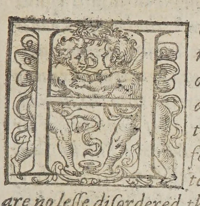 An illustration from An essay of the meanes hovv to make our trauailes, into forraine countries, the more profitable and honourable, 1606, leaf 13