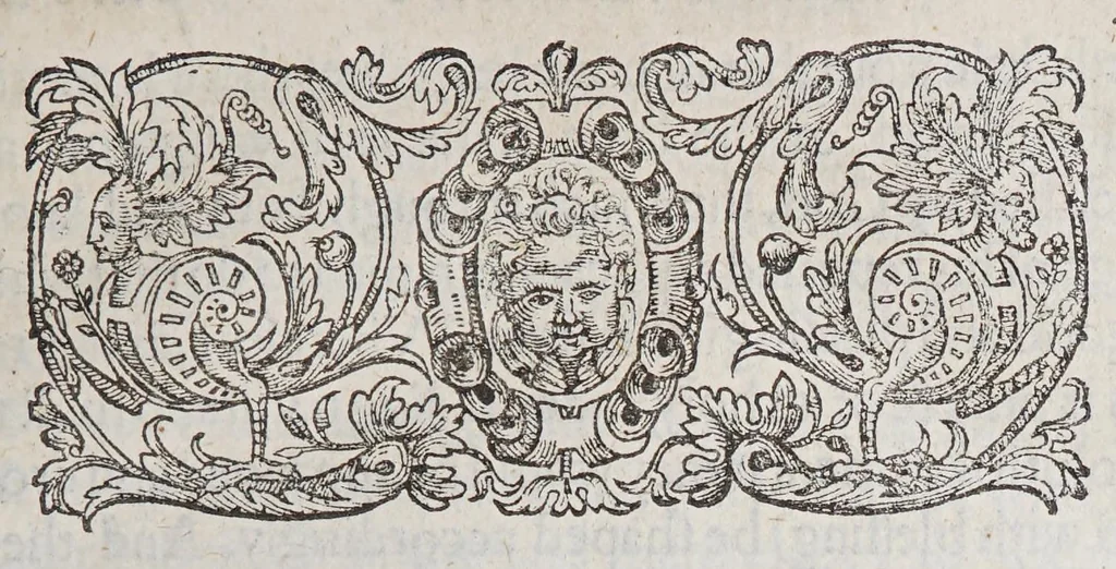 An illustration from An essay of the meanes hovv to make our trauailes, into forraine countries, the more profitable and honourable, 1606, leaf 49