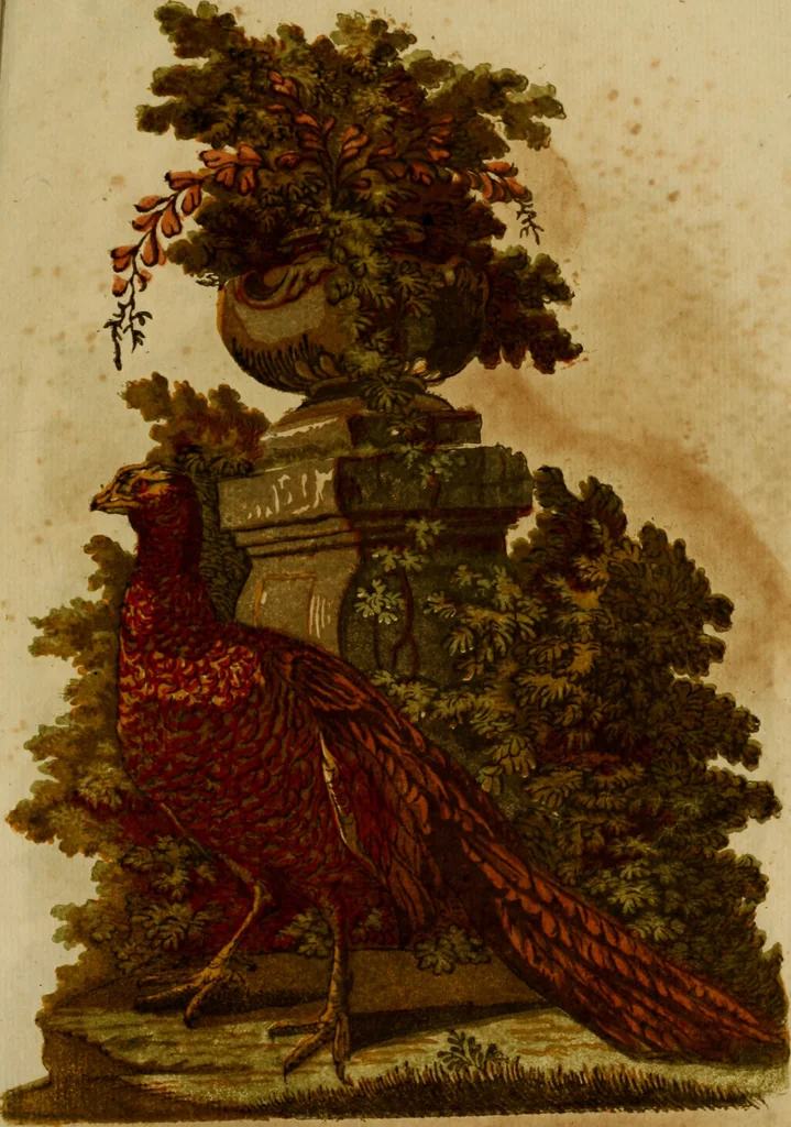 An illustration from An essay on the invention of engraving and printing in chiaro oscuro, as practised by Albert Durer, Hugo di Carpi, &c. and the application of it to the making paper hangings of taste, duration, and elegance, 1754, leaf 34