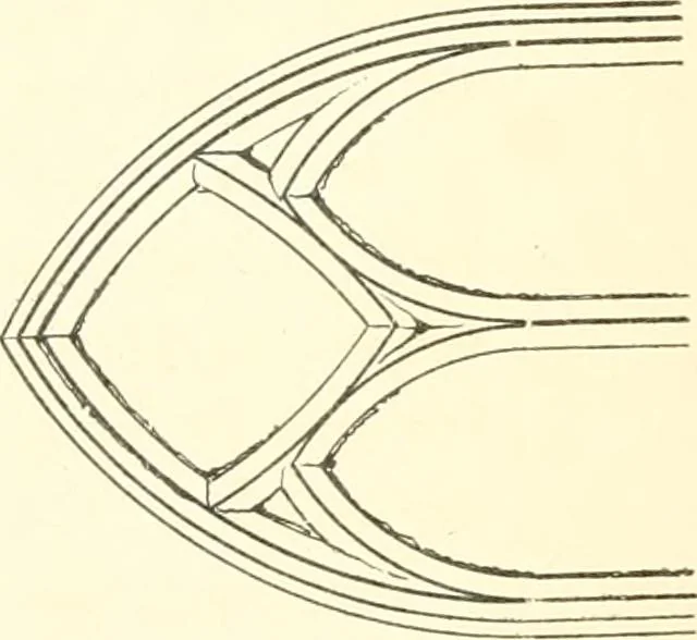 An illustration from An essay on the origin and development of window tracery in England; with nearly four hundred illustrations, 1851, leaf 62