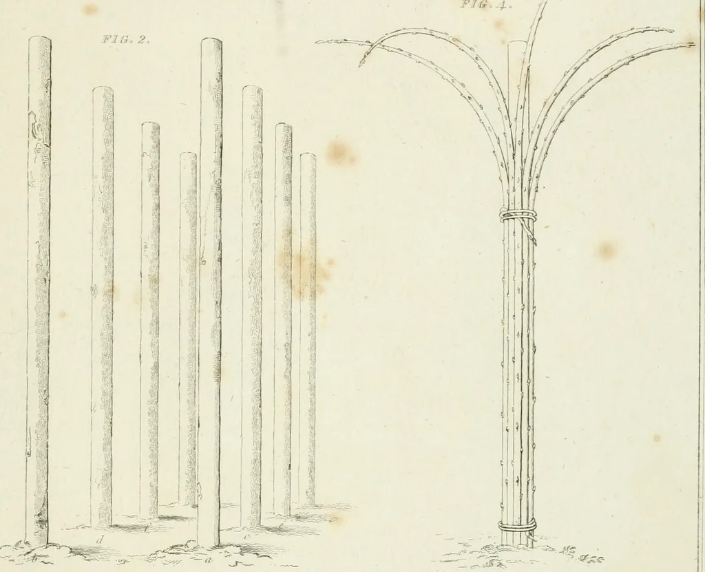 An illustration from Essay on the origin, history, and principles, of Gothic architecture, 1813, leaf 163
