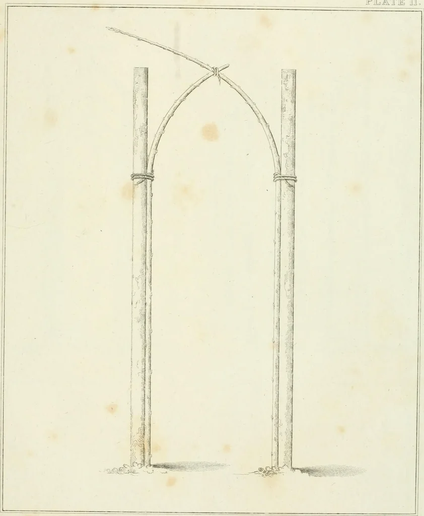 An illustration from Essay on the origin, history, and principles, of Gothic architecture, 1813, leaf 165