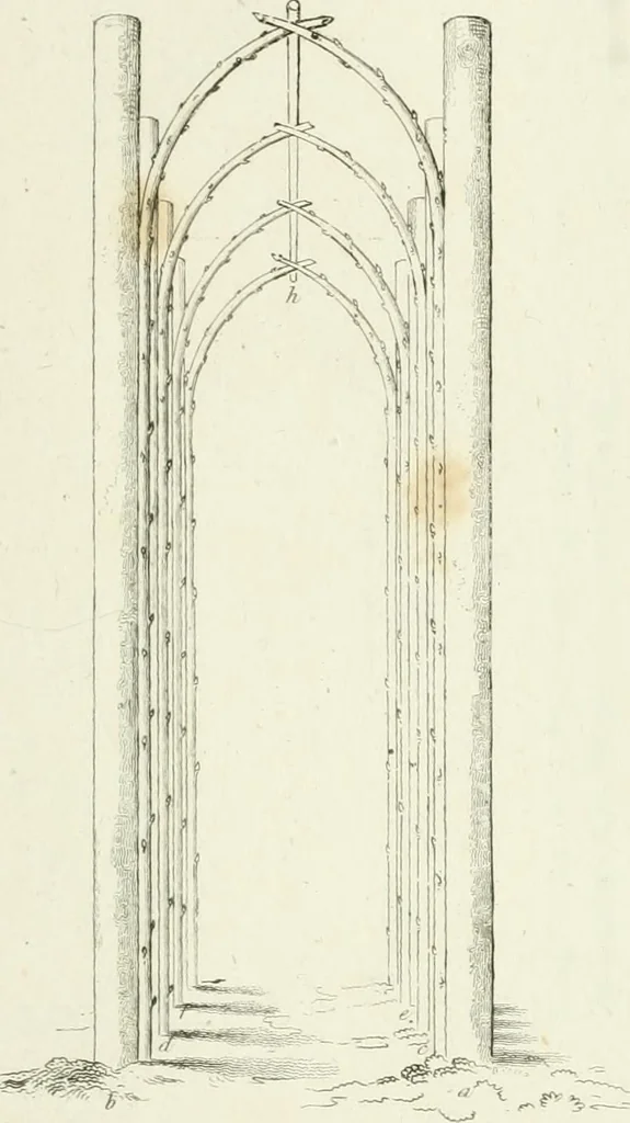 An illustration from Essay on the origin, history, and principles, of Gothic architecture, 1813, leaf 167