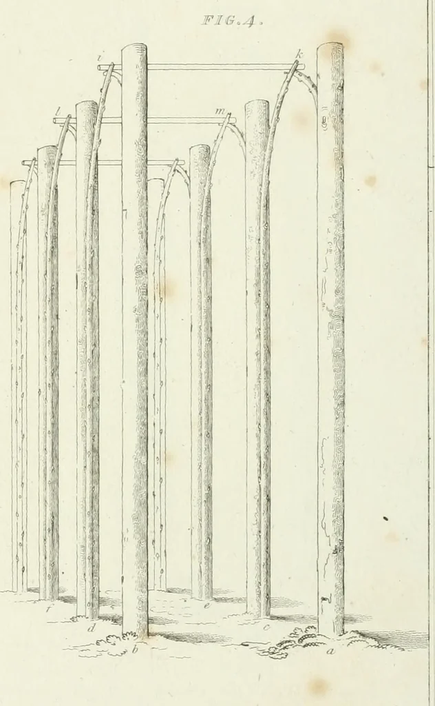 An illustration from Essay on the origin, history, and principles, of Gothic architecture, 1813, leaf 167