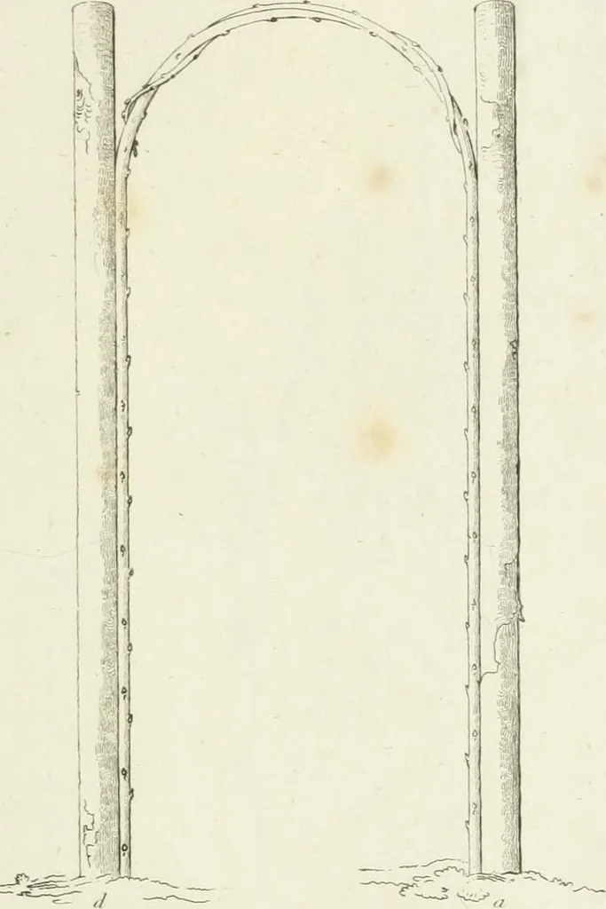 An illustration from Essay on the origin, history, and principles, of Gothic architecture, 1813, leaf 169