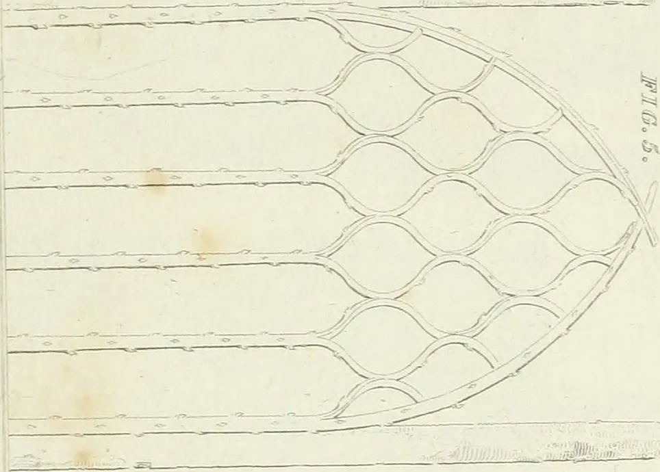 An illustration from Essay on the origin, history, and principles, of Gothic architecture, 1813, leaf 179