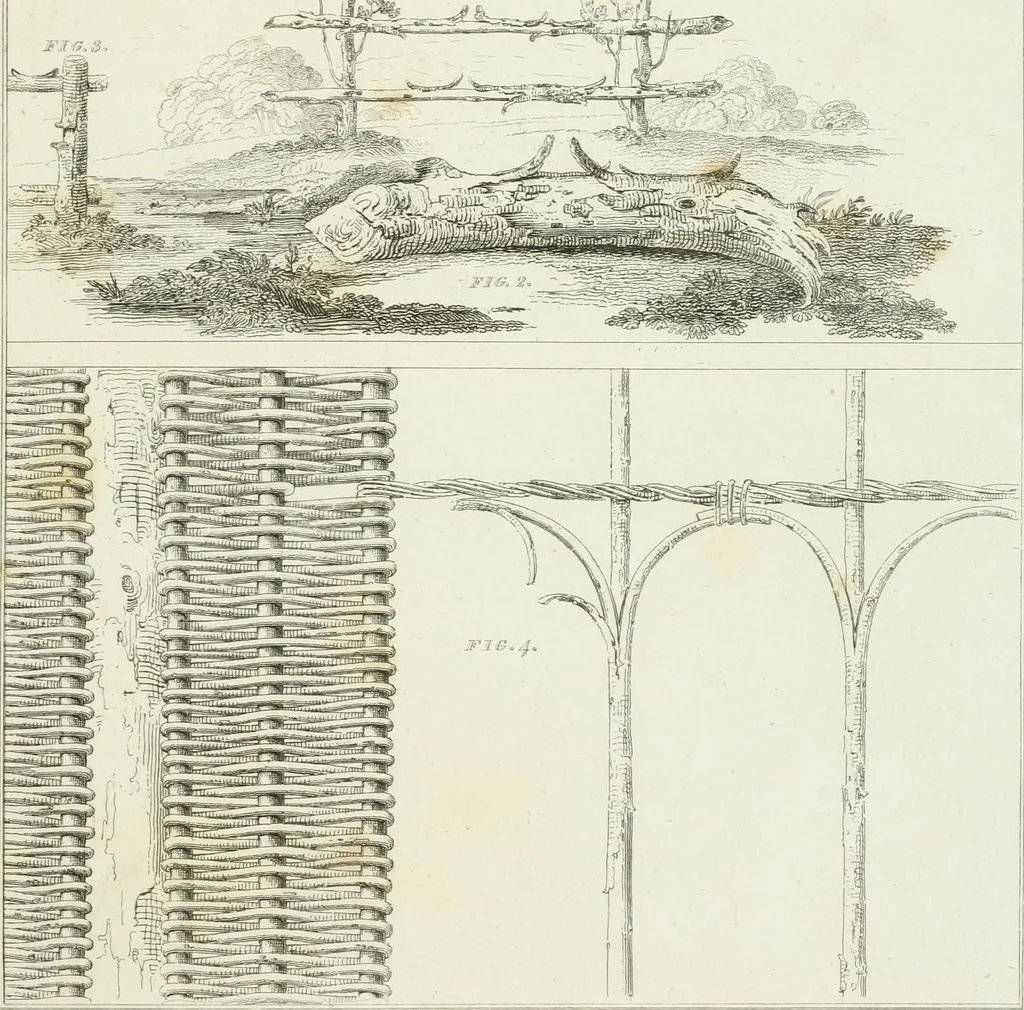 An illustration from Essay on the origin, history, and principles, of Gothic architecture, 1813, leaf 181