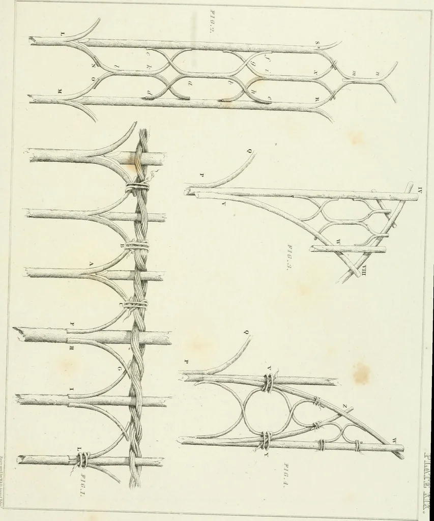 An illustration from Essay on the origin, history, and principles, of Gothic architecture, 1813, leaf 199