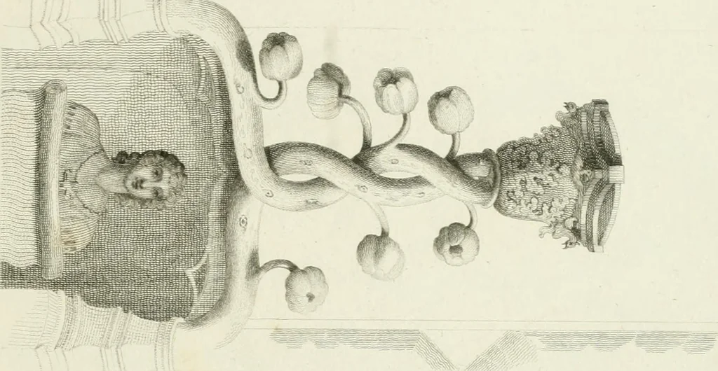 An illustration from Essay on the origin, history, and principles, of Gothic architecture, 1813, leaf 265