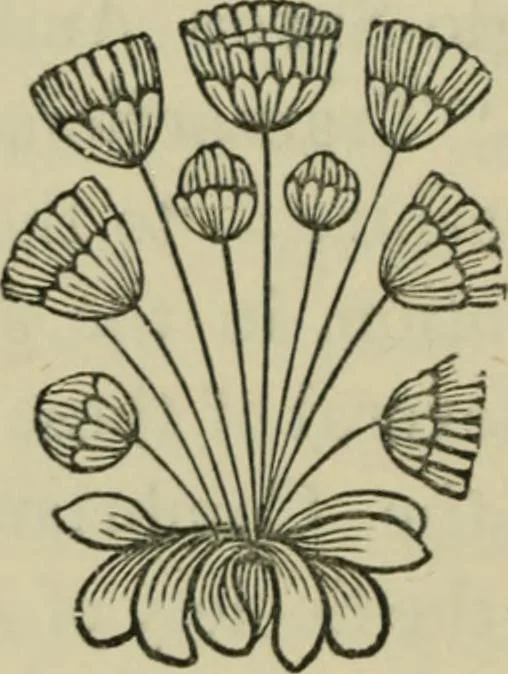 An illustration from Essays on archaeological subjects, and on various questions connected with the history of art, science, and literature in the Middle Ages, 1861, leaf 12
