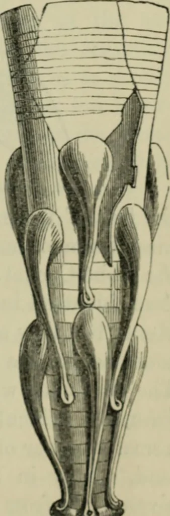 An illustration from Essays on archaeological subjects, and on various questions connected with the history of art, science, and literature in the Middle Ages, 1861, leaf 173