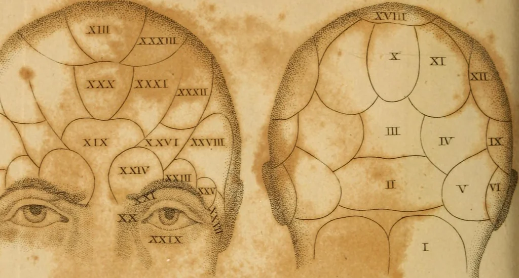 An illustration from Essays on phrenology : or an inquiry into the principles and utility of the system of Drs. Gall and Spurzheim, and into the objections made against it, 1822, leaf 484