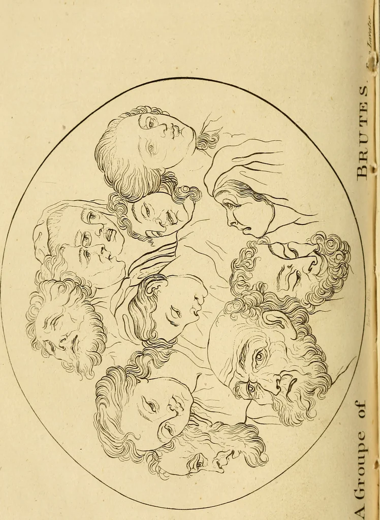 An illustration from Essays on physiognomy; calculated to extend the knowledge and the love of mankind, 1797, leaf 121