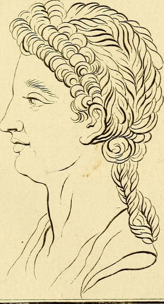 An illustration from Essays on physiognomy; calculated to extend the knowledge and the love of mankind, 1797, leaf 134