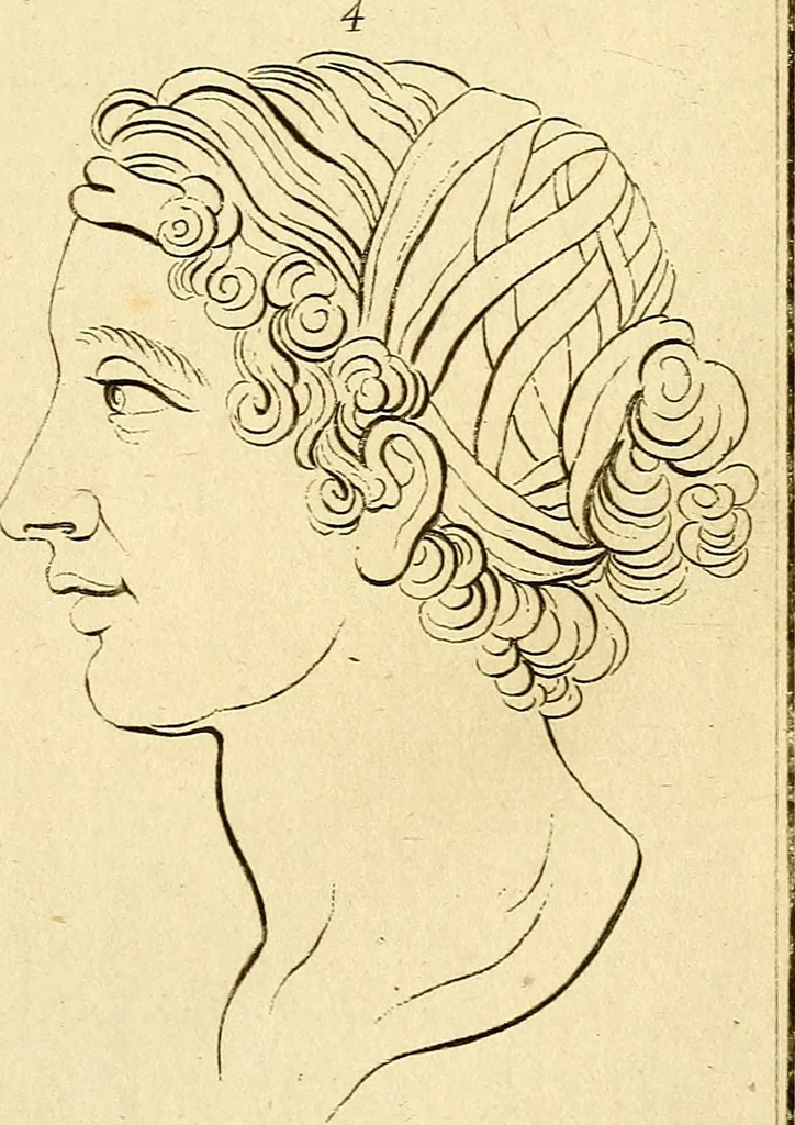 An illustration from Essays on physiognomy; calculated to extend the knowledge and the love of mankind, 1797, leaf 134