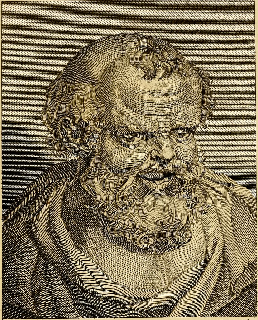 An illustration from Essays on physiognomy; calculated to extend the knowledge and the love of mankind, 1797, leaf 191