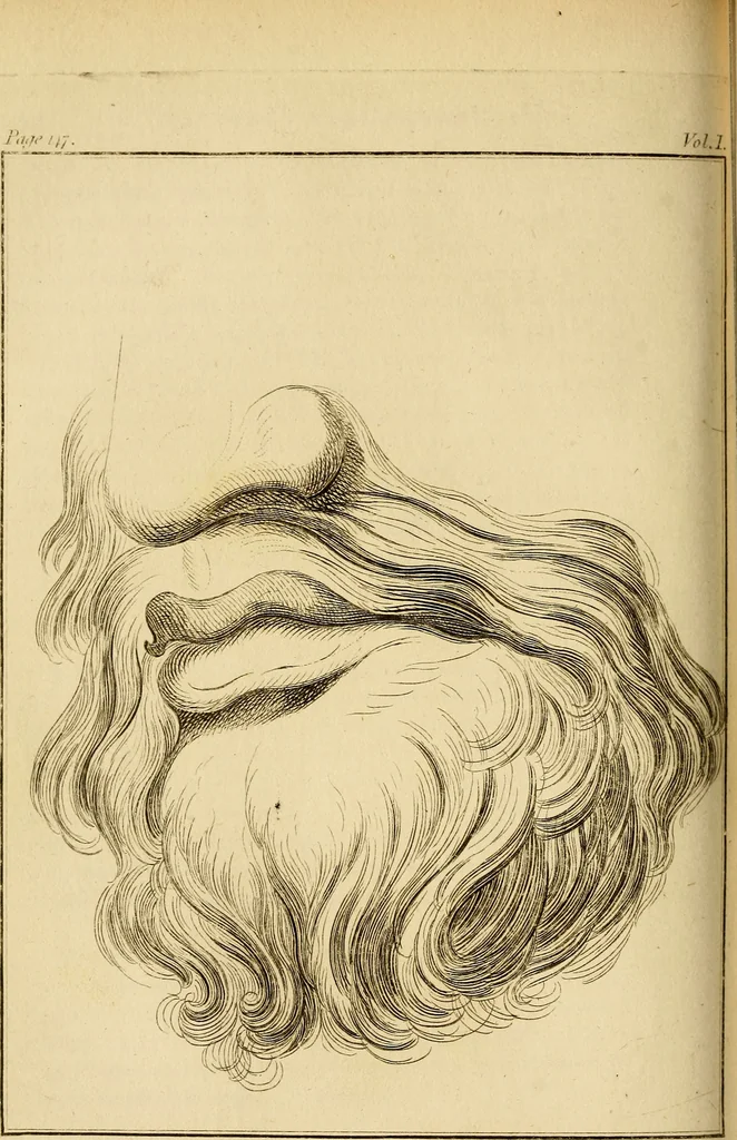 An illustration from Essays on physiognomy; calculated to extend the knowledge and the love of mankind, 1797, leaf 195