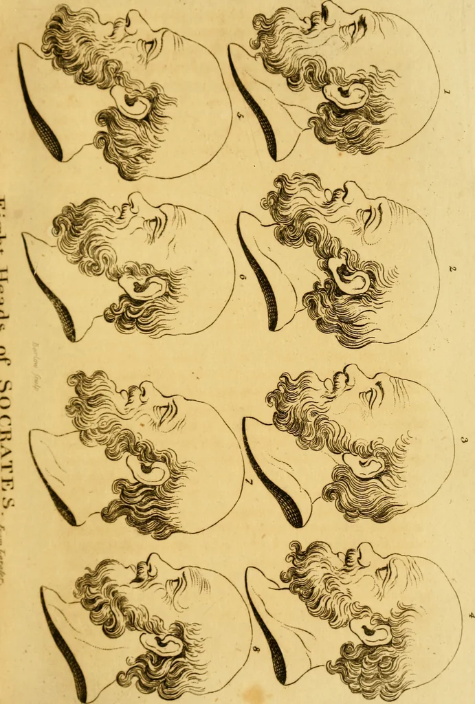 An illustration from Essays on physiognomy; calculated to extend the knowledge and the love of mankind, 1797, leaf 218