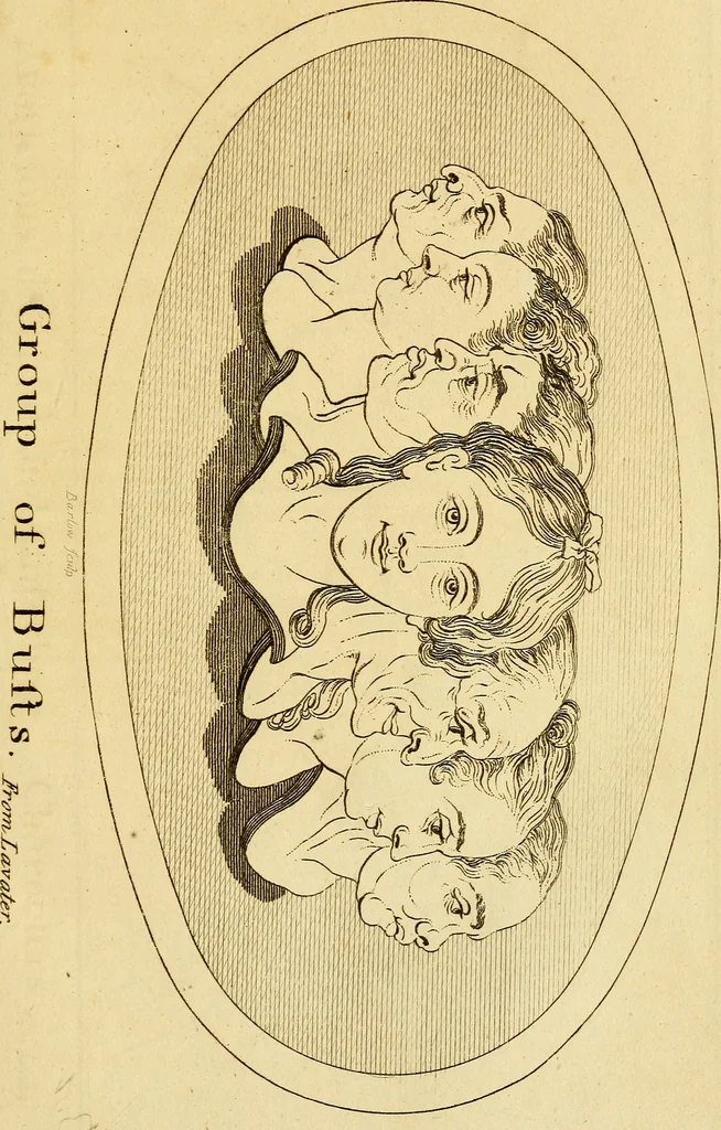 An illustration from Essays on physiognomy; calculated to extend the knowledge and the love of mankind, 1797, leaf 226
