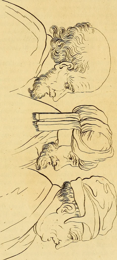 An illustration from Essays on physiognomy; calculated to extend the knowledge and the love of mankind, 1797, leaf 228