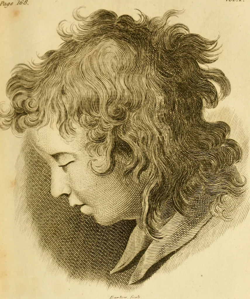 An illustration from Essays on physiognomy; calculated to extend the knowledge and the love of mankind, 1797, leaf 232