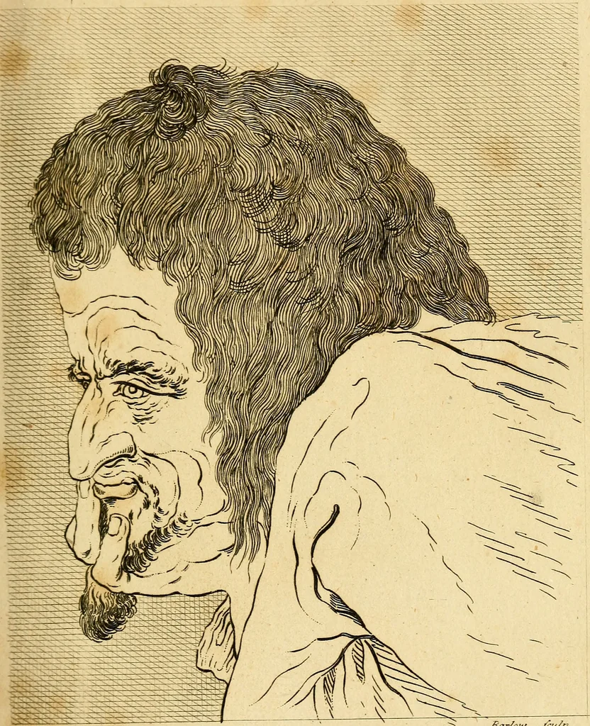 An illustration from Essays on physiognomy; calculated to extend the knowledge and the love of mankind, 1797, leaf 236