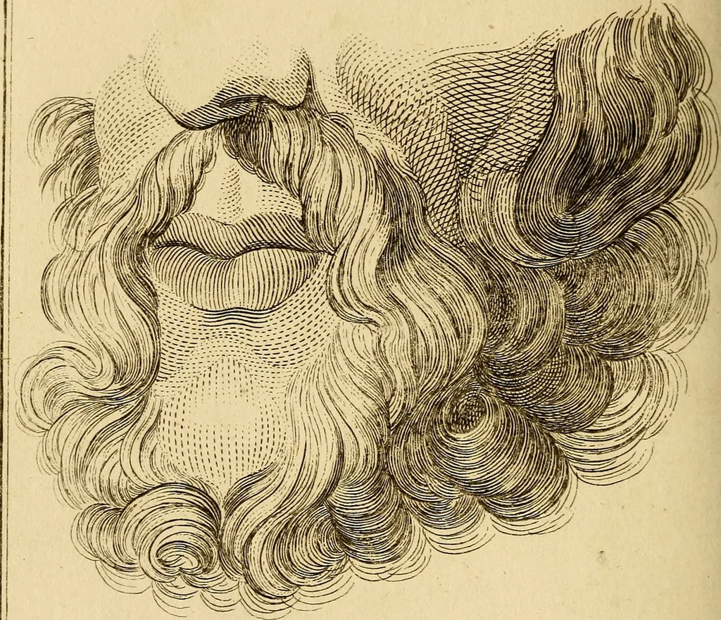 An illustration from Essays on physiognomy; calculated to extend the knowledge and the love of mankind, 1797, leaf 239