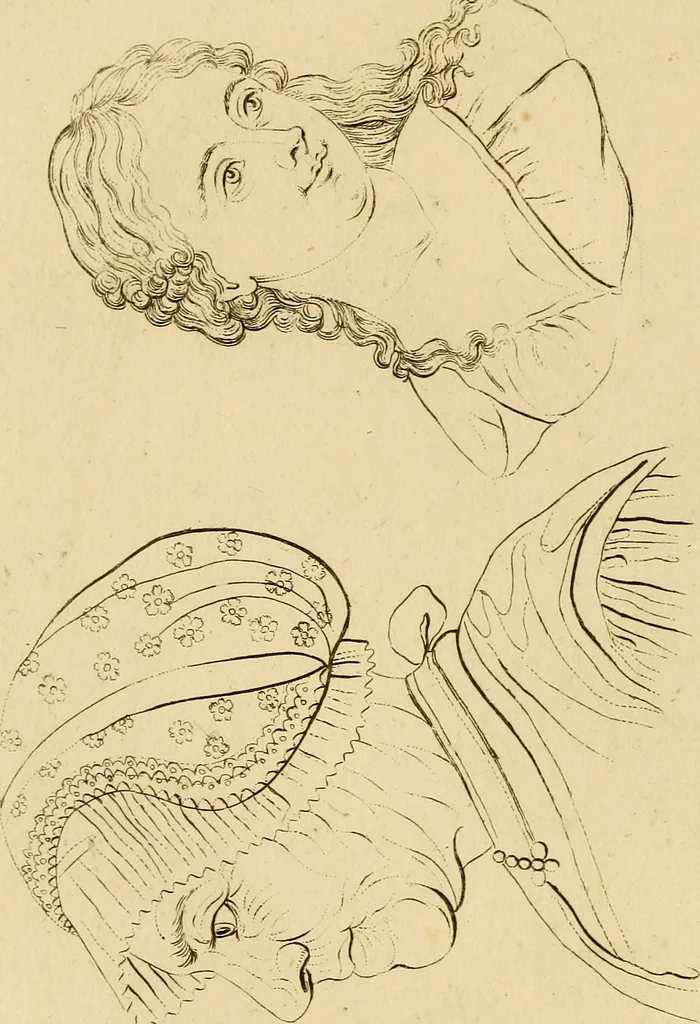 An illustration from Essays on physiognomy; calculated to extend the knowledge and the love of mankind, 1797, leaf 241