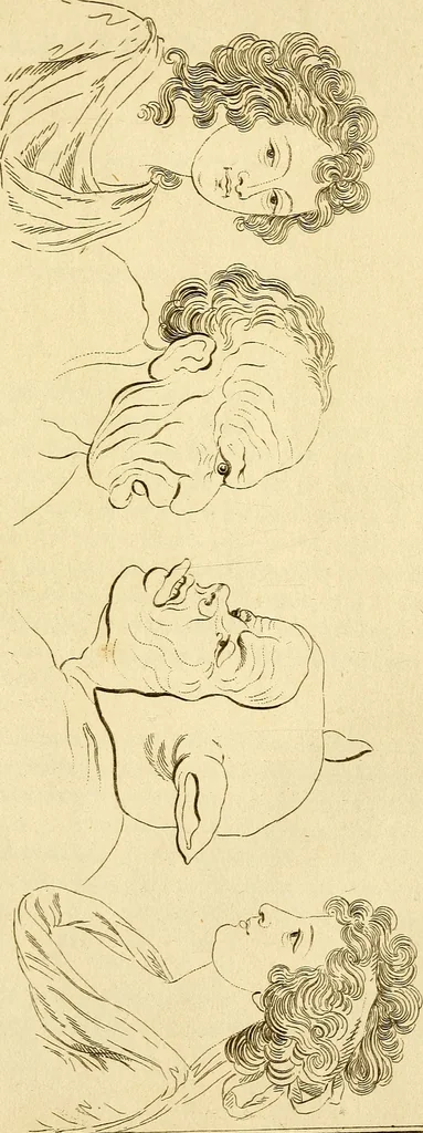 An illustration from Essays on physiognomy; calculated to extend the knowledge and the love of mankind, 1797, leaf 244