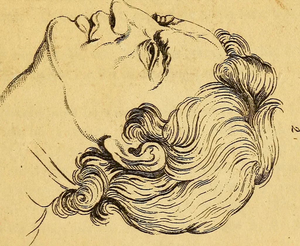 An illustration from Essays on physiognomy; calculated to extend the knowledge and the love of mankind, 1797, leaf 250
