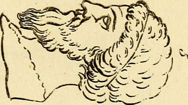 An illustration from Essays on physiognomy; calculated to extend the knowledge and the love of mankind, 1797, leaf 270