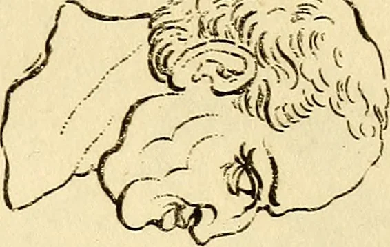 An illustration from Essays on physiognomy; calculated to extend the knowledge and the love of mankind, 1797, leaf 270
