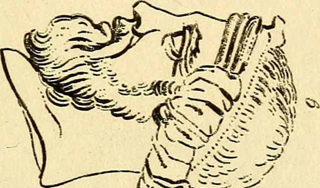 An illustration from Essays on physiognomy; calculated to extend the knowledge and the love of mankind, 1797, leaf 270