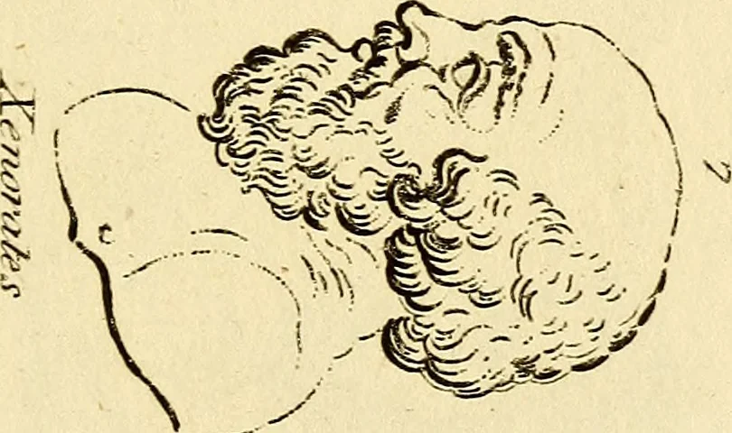 An illustration from Essays on physiognomy; calculated to extend the knowledge and the love of mankind, 1797, leaf 270