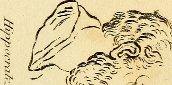 An illustration from Essays on physiognomy; calculated to extend the knowledge and the love of mankind, 1797, leaf 270